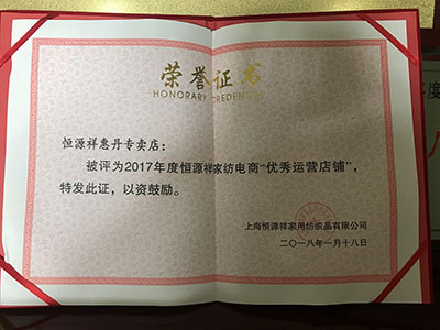 2017年电商优秀运营店铺 2017年电商优秀运营店铺
